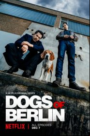 Dogs Of Berlin